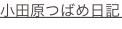 shapeimage_3_link_0