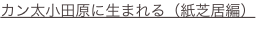shapeimage_1_link_3